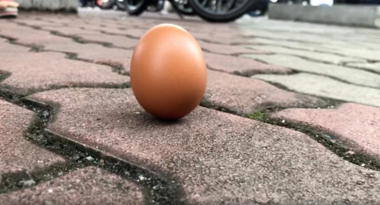 Egg-standing test goes viral as ring-of-fire eclipse crosses Asia