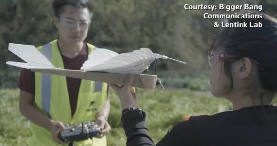 Pigeon-inspired robot could change the game for drone flight